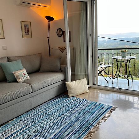 Schoenes Familienappartement In Pelekas, Corfu Mit Meerblick Buitenkant foto